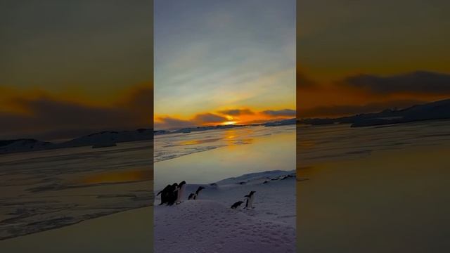 рассвет 🌄 ❤️🔥