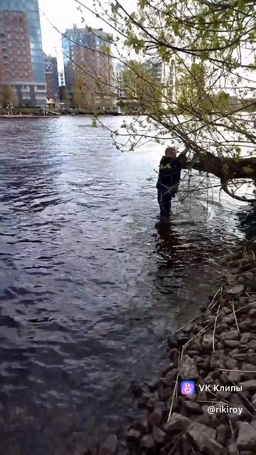 на Неве Санкт-Петербург