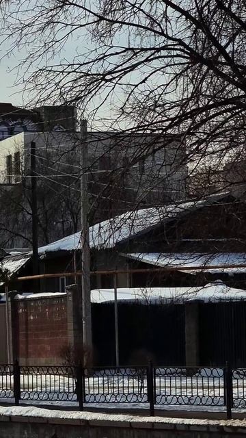 Утро Алматы. 28.01.2025.