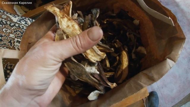 МИЛЛИОН БЕЛЫХ ГРИБОВ! Грибы Сушеные Мешками На Зиму ! Белые Грибы 2020 Супер Урожай ! [Итоги Cезона]