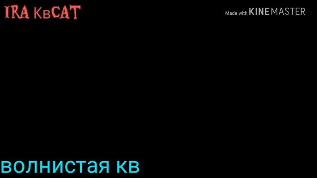 Коты воители. Песня: осколки памяти