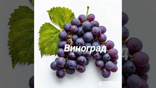 Слова для малышей. Учим новые слова. Детям.