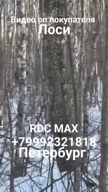 Болотоход RDC MAX ,Лоси,#болотоход #вездеходы #атлет #сокол #дозер #азимут#росомаха #каракат