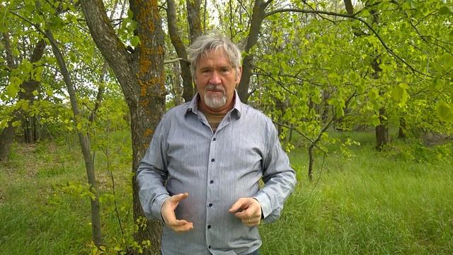 Две формы психологических защит -  танки и кошки