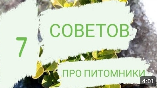 7 СОВЕТОВ ТЕМ, КТО ПЕРВЫЙ РАЗ ПЛАНИРУЕТ ПОСЕТИТЬ ПИТОМНИК🌲🌺🌱