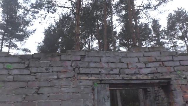 VZOV2012