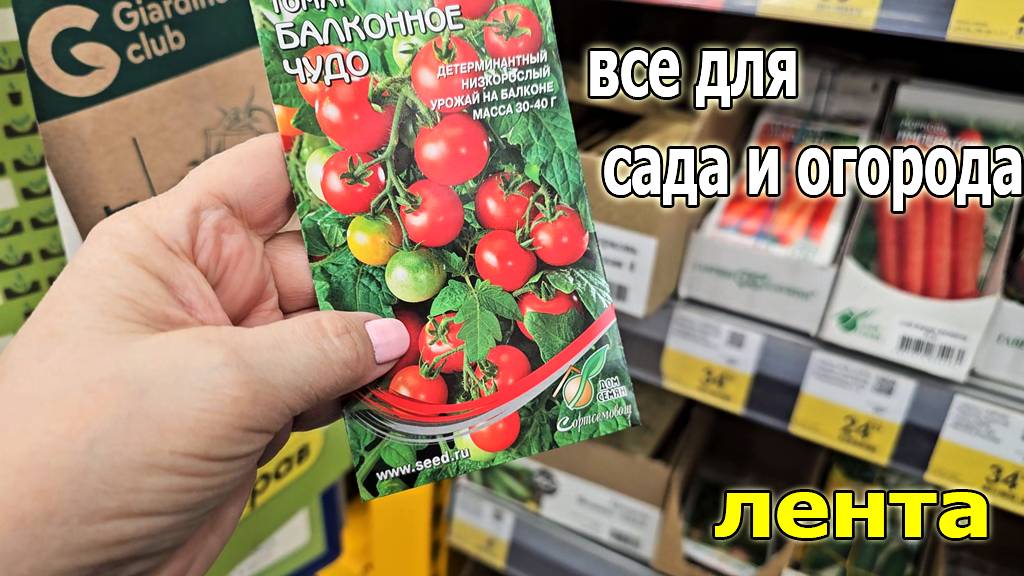 Все для Сада и Огорода.Магазин ЛЕНТА.Хочу купить Семена томатов Балконное чудо.Январь 2025