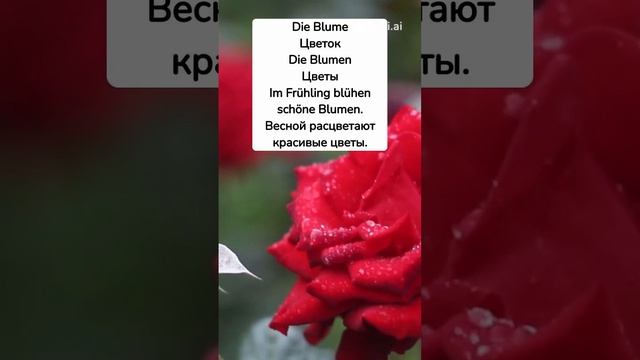 тема весна на немецком немецкийснуля немецкийдляначинающих