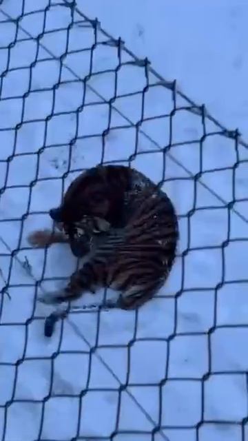 Так просто не помоешься