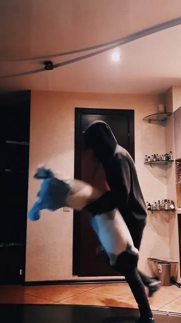 Мой любимый котик! Здесь мы просто играем😆 #shorts