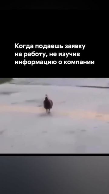 ВЫШЕЛ НЕ ТУДА #shorts