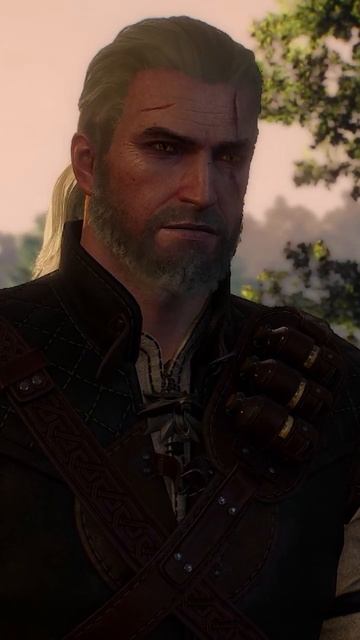 От куда взялись волчьи следы  Ведьмак 3 Дикая Охота Next Gen Shorts thewitcher3 thewitc