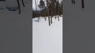 27 января _ выборочный осмотр пчелосемей