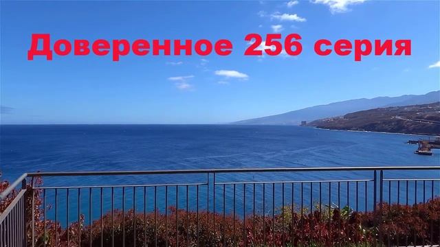 Доверенное 256 серия |Не думай, иди к девушке !