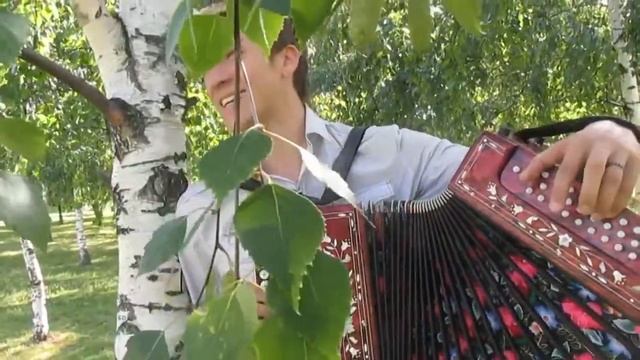Игорь Шипков - Разбросала косы русые береза