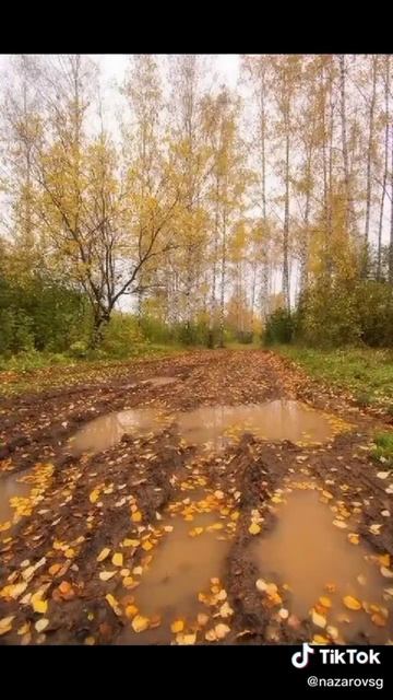 на природу🌲