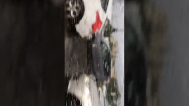 Погода в Химках 😳