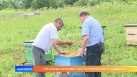 Пчеловоды Мордовии получат финансовую поддержку