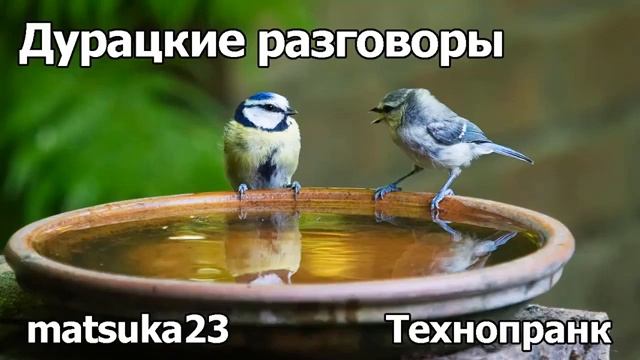 ДУРАЦКИЕ РАЗГОВОРЫ  Технопранк от Matsuka23
