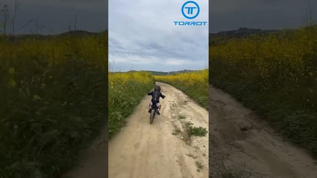Torrot Two Trial Southern California Review