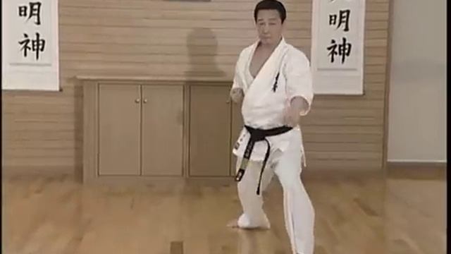 Цуки-но-ката
