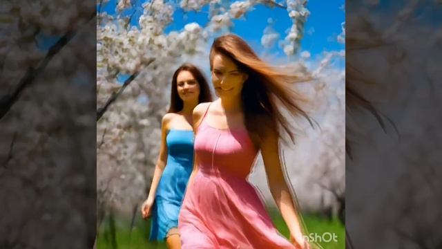 ВЕСНА -БЕССОННИЦА