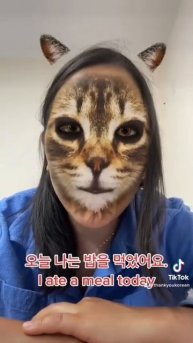 🇰🇷Learn Korean - Past Tense