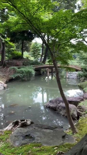 My Underrated Favorite Part of Japan #shorts