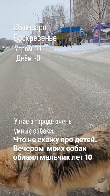 28-01-2025