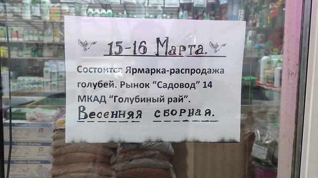 15-16 Марта Состоится Ярмарка на Садоводе, Голубиный Рай 14 км МКАД 👍