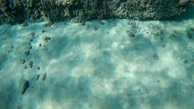 Пафос, Coral bay морской язык