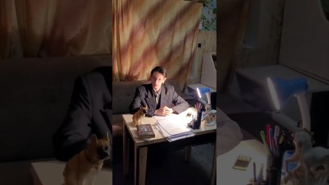 Пародия - Лучше звоните Солу) Ps. Не Солу, а Дане! Лучшая Юридическая Консультация.