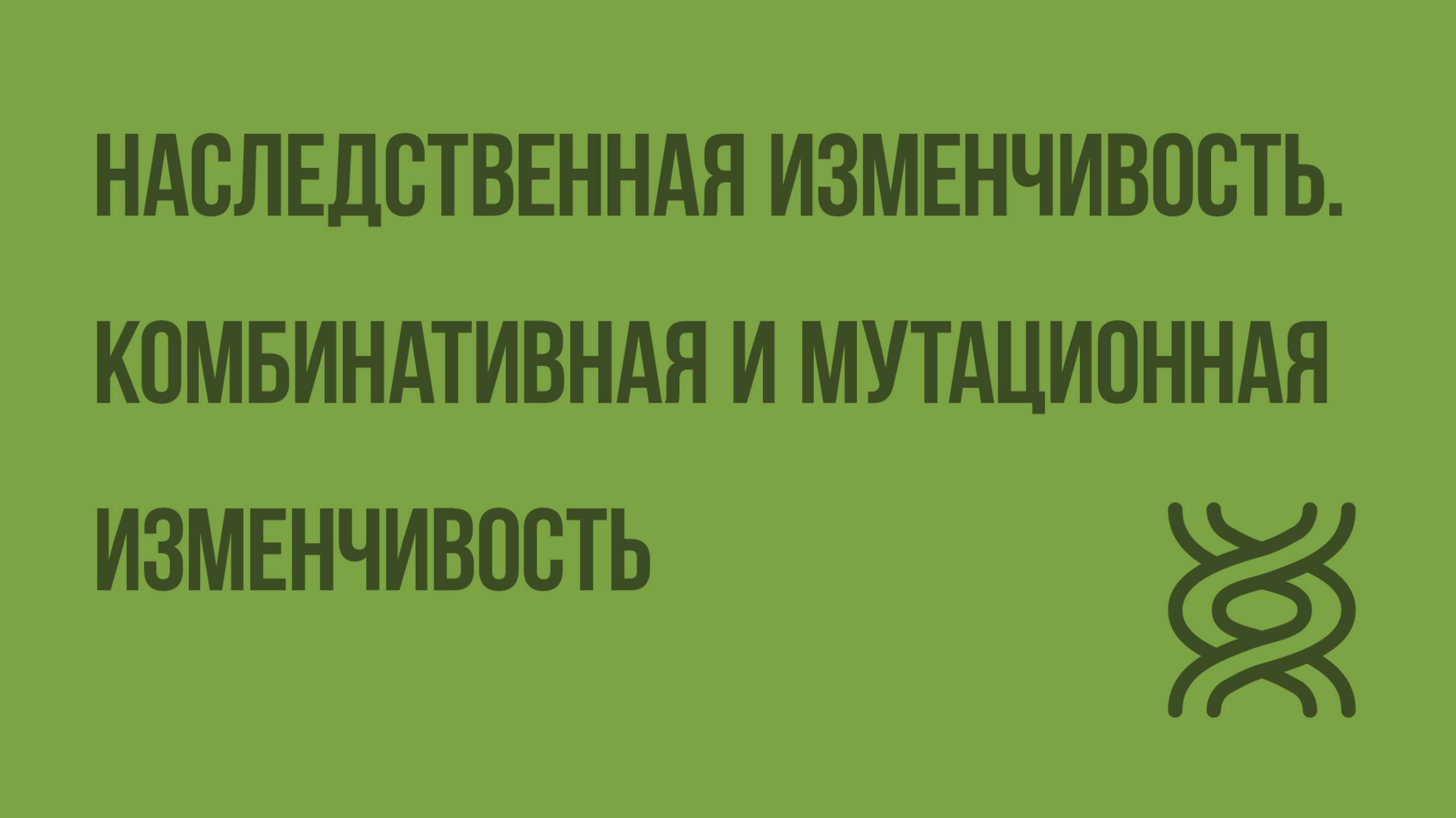 Наследственная изменчивость. Комбинативная и мутационная изменчивость. Видеоурок по биологии 10