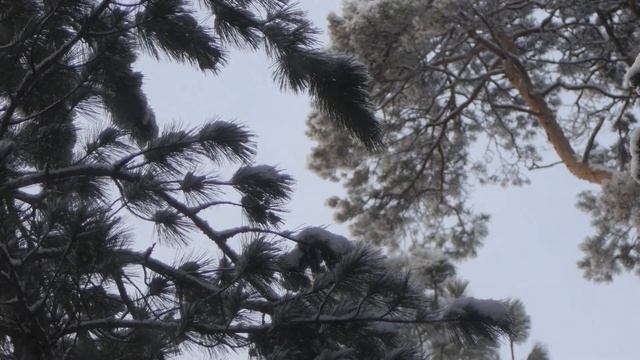 Тайные знаки. «История одной приметы: приметы ноября». (60+)