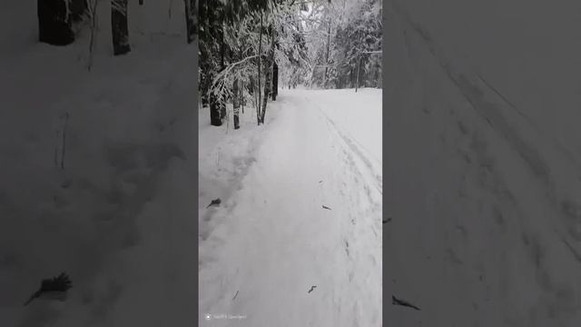 Ускоренный (11 Х) спидран по лыжной трассе