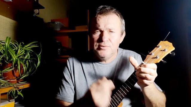 Про снегопад. Иван Бадхи. Укулеле. Исполняет автор.