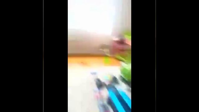 Машинки