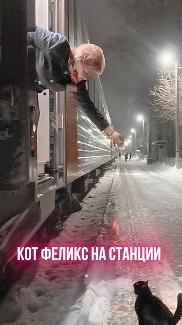 Кот феликс на станции