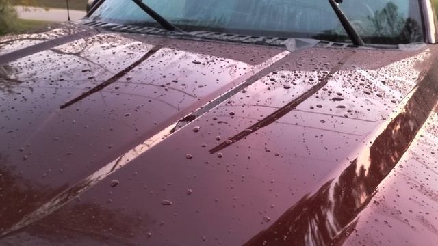 2021-10-22 303 Touchless Treatment