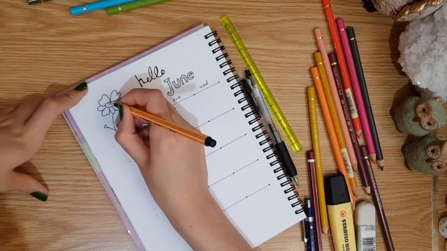 bullet journal August 2017 ! (easy and quick journaling for everyone)