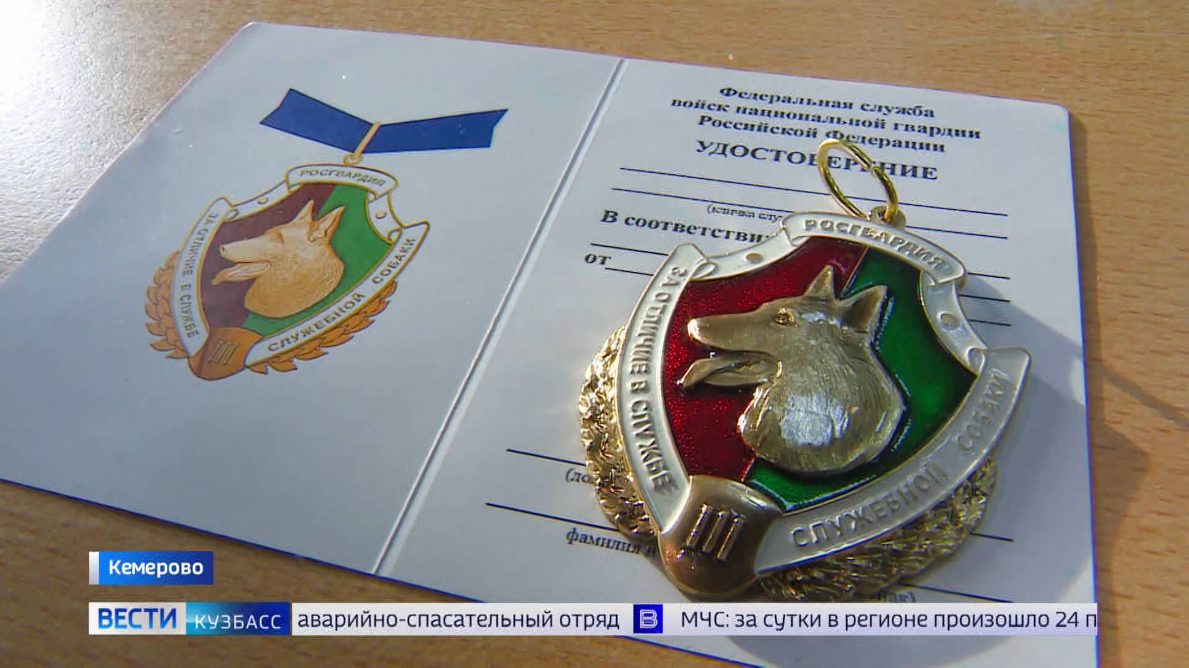Отметят хвостатых: необычные награды получили росгвардейцы Кузбасса