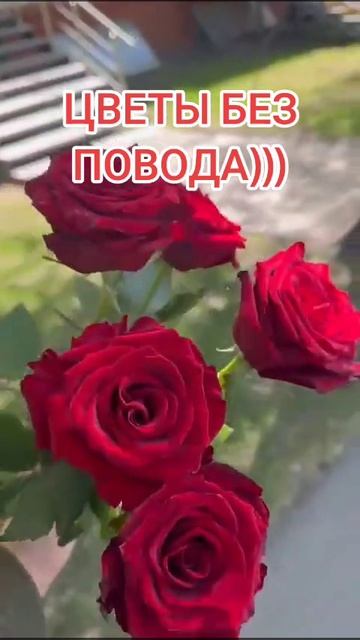 Факты о цветах