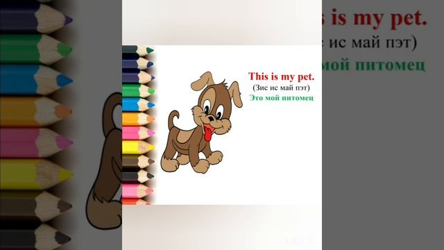1 класс Smiles 1 Module 4 My pets
