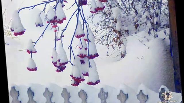 Людмила Зыкина/Рябиновая грусть...авт. Лена Ли.