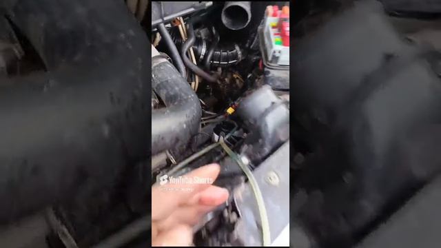 1000010082.mp4