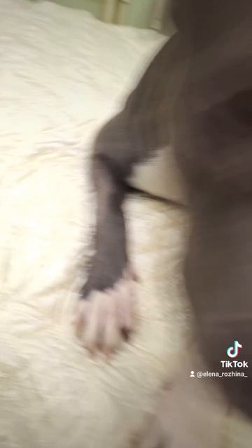 1000111970.mp4