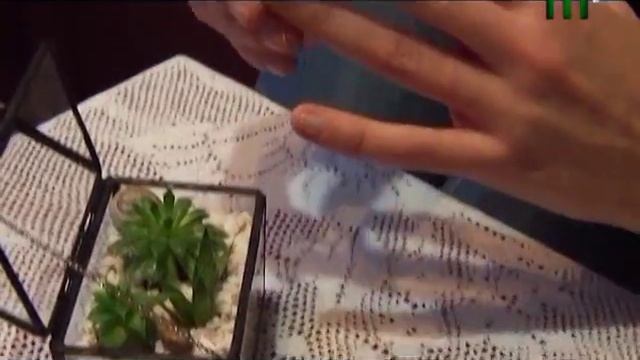 Рубрика "До речі про цікаві речі" - "Скляна геометрія" Антоніна Кобаль