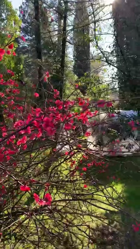 В "Дендрарии" началась весна🌿