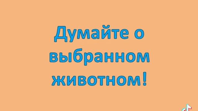 Отгадайте загадку.....