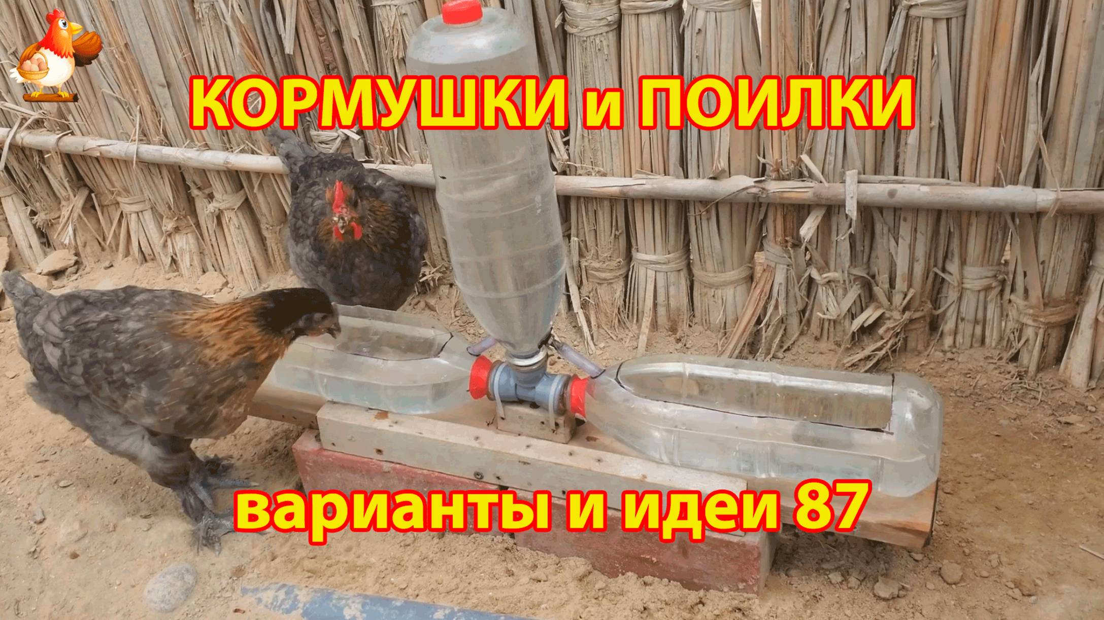 Кормушки и поилки для кур своими руками (87) 🪚✂️ Пошаговая инструкция как сделать 🐔 🐓❣️
